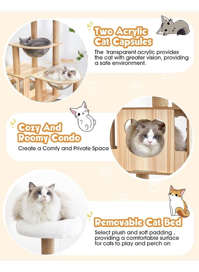 شجرة قطط حديثة للقطط الداخلية، برج خشبي متعدد المستويات بطول 65 بوصة، شقتان كبيرتان على شكل كبسولة، مزودة بخدش من السيزال بالكامل - Image 4